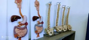 Laboratório da FAESB — foto 1