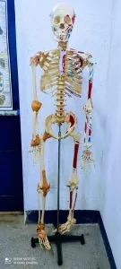 Laboratório da FAESB — foto 2