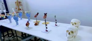 Laboratório da FAESB — foto 5
